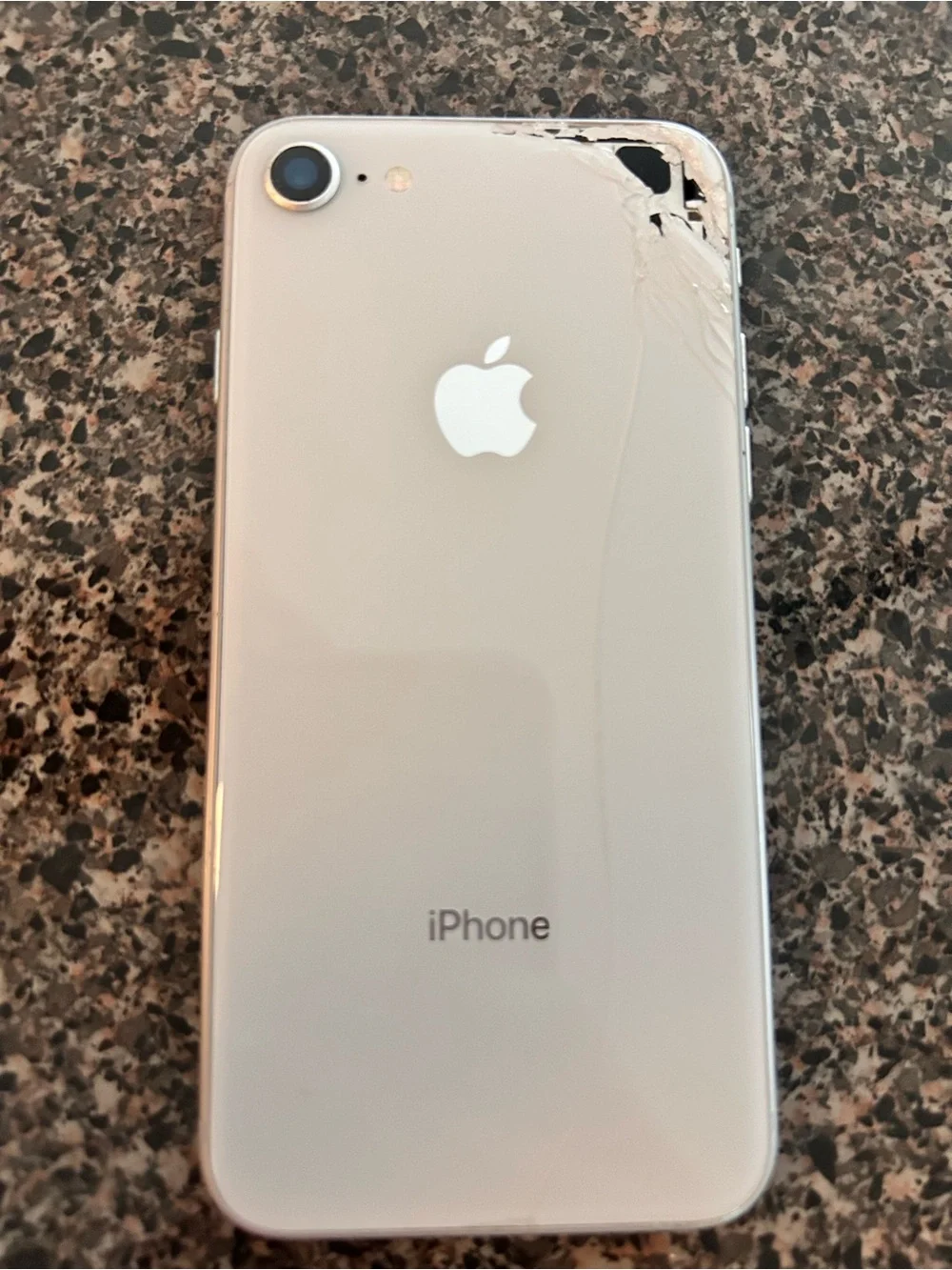 Apple iPhone 8 256GB Factory Unlocked White/Silver